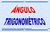 Angulos trigonometricos