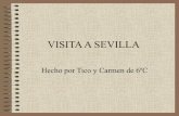 Visita a Sevilla