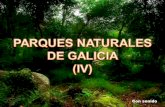 Parque Natural Fragas Del Eume Jclh