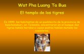 El templo de_los_tigres (1)