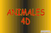 ANIMALES 4D