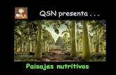Paisajes nutritivos (QSN)