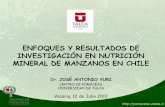 Nutrición mineral brasil comp. 2012 1