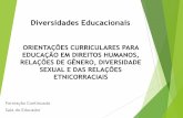 Ernandes Cervantes Diversidades Educacionais- 05.12.2013