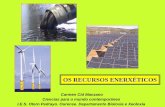2. recursos enerxeticos 2013
