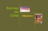 Biomas el altiplano