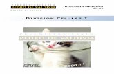 PDV: Biología Mención Guía N°9 [4° Medio] (2012)