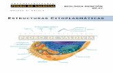 PDV: Biología Mención Guía N°7 [4° Medio] (2012)