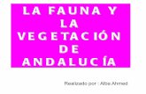La fauna y la vegetación de Andalucía. Por Alba Ahmed. 5ºb