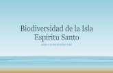 Biodiversidad de la isla espíritu santo