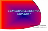 Hemorragia digestiva alta ricardo