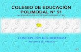 Colegio De EducaciÓN Polimodal N° 51