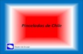 Pinceladas de Chile (himno nacional)