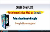 Actualización Google Hummingbird (Colibrí)