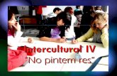 Intercultural IV no pintem res