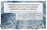 Leonora Rojas Bracho: Indicadores de manejo de sustancias químicas: hacia la sustentabilidad ambiental ciudades en México