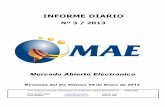 Informe Diario MAE 04-01-13