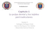 La pulpa dental y los teidos perirradiculares