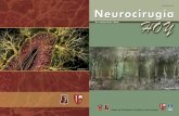 Neurocirugía Hoy, Vol. 6, Numero 20