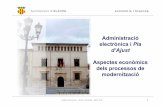 Administración electrónica y plan de ajuste (Ayuntamiento de Alzira)