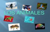 "Los Animales" por ASL alumno de 5º primaria