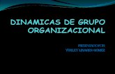 Dinamicas de grupo organizacional
