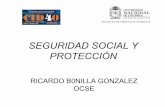 Protección y seguridad social ricardo bonilla