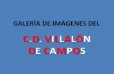 GALERÍA DE IMÁGENES DEL C.D. VILLALÓN