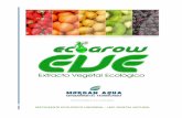 Fertilizante Ecológico. EVE - Extracto Vegetal Ecológico