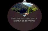 2  Parque natural de la Sierra de Espadán