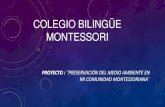 Diapositivas proyecto colegio bilingüe montessori