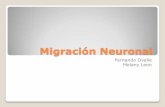 Migración neuronal