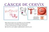 Cancer de cervix 2011 Guayaquil Ecuador