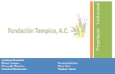 FundacióN Tampico Final