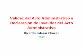 12.06. validez del acto administrativo y declaraci+¦n de invalidez. dr. ricardo salazar