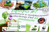 Cultura ambiental-organizaiones no gubernamentales (ONG), protectoras del medio ambiente