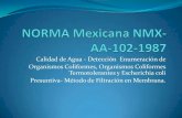 Norma mexicana nmx aa-102-1987