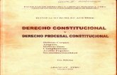 Derecho constitucional y procesal constituc oct 2006