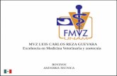 Calendario VacunacióN Nuevo