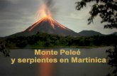 Monte Peleé