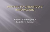 Proyecto creativo e innovación 1