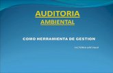 Auditoria Ambiental   Herramienta De Gestion Ii