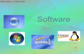 Software libre, software propietario, modalidade de software