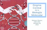 Dogma Central de la Biología Molecular