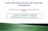 Ciclo Iberoamericano de Derecho Ambiental