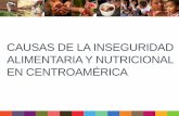 Causas de la inseguridad alimentaria y nutricional en Centroamérica