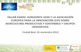 20131125 Taller H2020. Horizonte 2020 y asociaciones europeas para la innovación. María Herrero