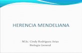 Copy of 8. herencia mendeliana
