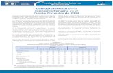 INEI - Informe PBI 2014