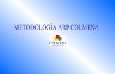 Presentacion MetodologíAs
